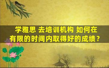 学雅思 去培训机构 如何在有限的时间内取得好的成绩？